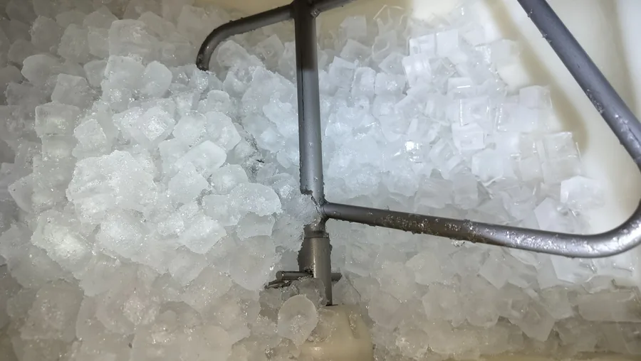 Commercial ice machine bin filled with cube ice during inspection.