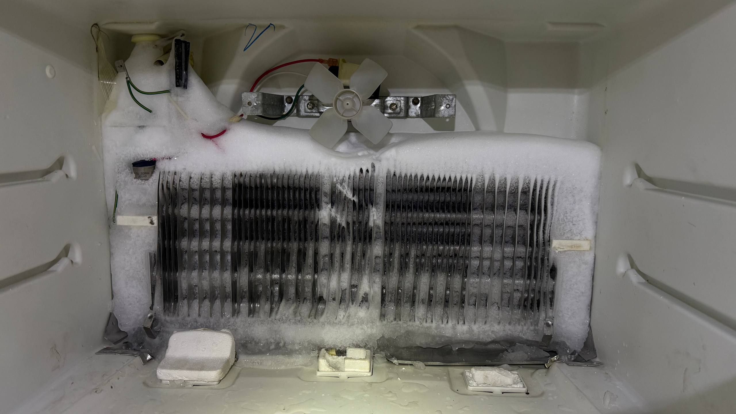 Ice around the exposed evaporator area of a Maytag refrigerator during a Mountain View inspection.